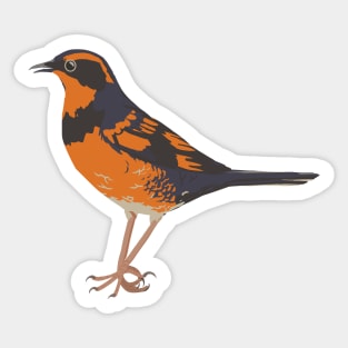 Varied Thrush Sticker